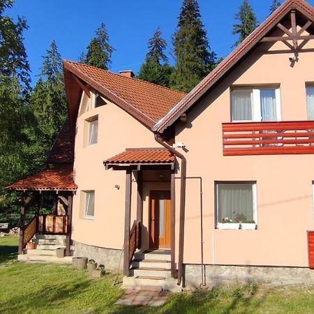 Olt-Part Vendeghaz Otel BaileTusnad Dış mekan fotoğraf