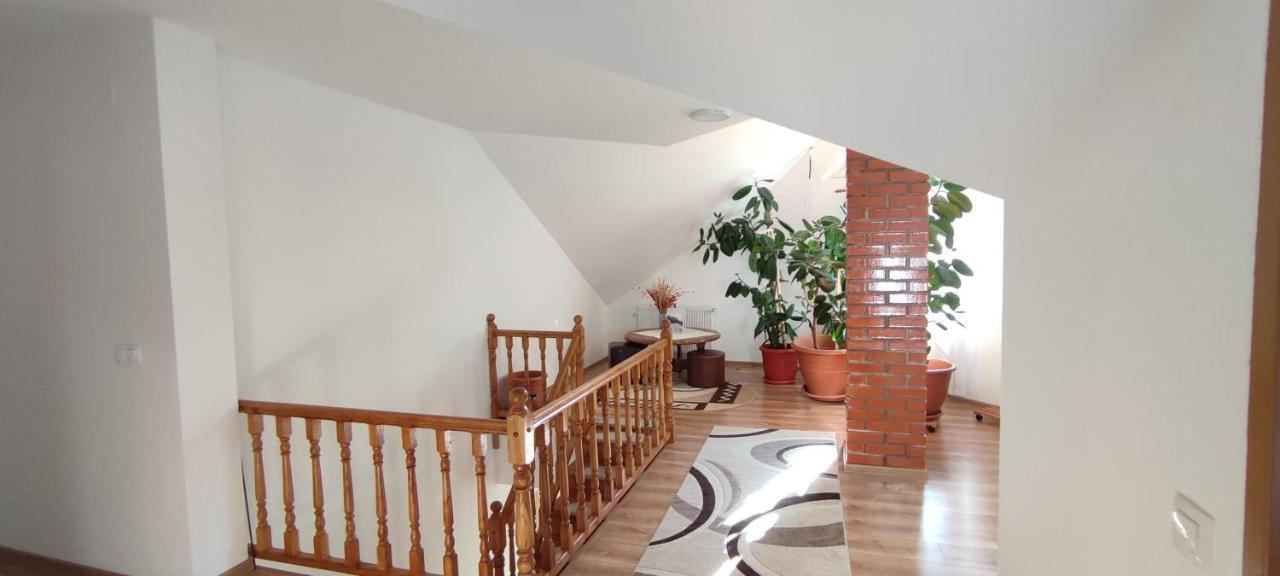 Olt-Part Vendeghaz Otel BaileTusnad Dış mekan fotoğraf