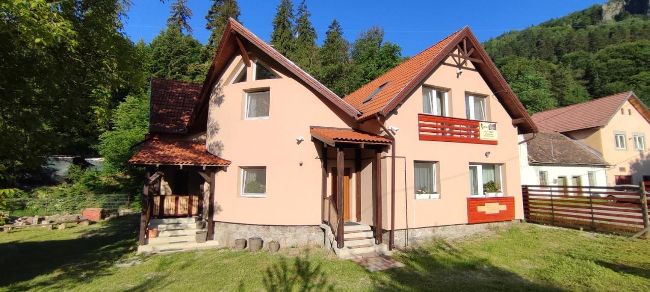 Olt-Part Vendeghaz Otel BaileTusnad Dış mekan fotoğraf