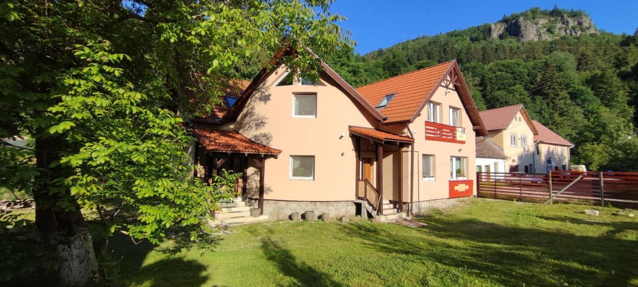 Olt-Part Vendeghaz Otel BaileTusnad Dış mekan fotoğraf