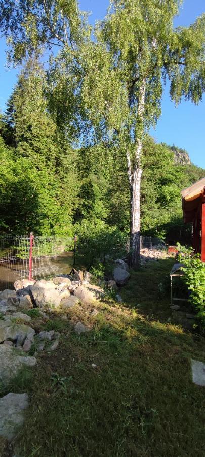 Olt-Part Vendeghaz Otel BaileTusnad Dış mekan fotoğraf