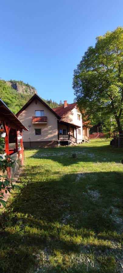 Olt-Part Vendeghaz Otel BaileTusnad Dış mekan fotoğraf