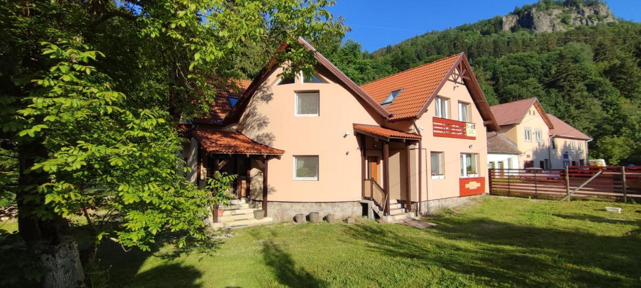 Olt-Part Vendeghaz Otel BaileTusnad Dış mekan fotoğraf