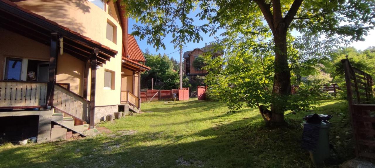 Olt-Part Vendeghaz Otel BaileTusnad Dış mekan fotoğraf