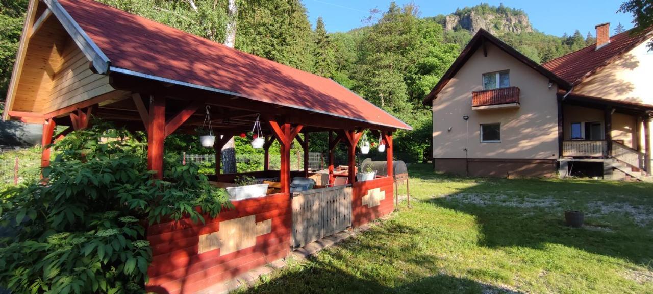 Olt-Part Vendeghaz Otel BaileTusnad Dış mekan fotoğraf
