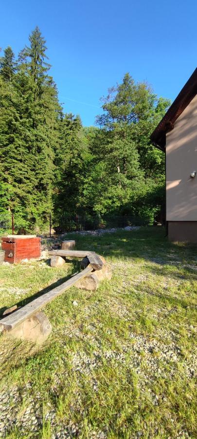 Olt-Part Vendeghaz Otel BaileTusnad Dış mekan fotoğraf