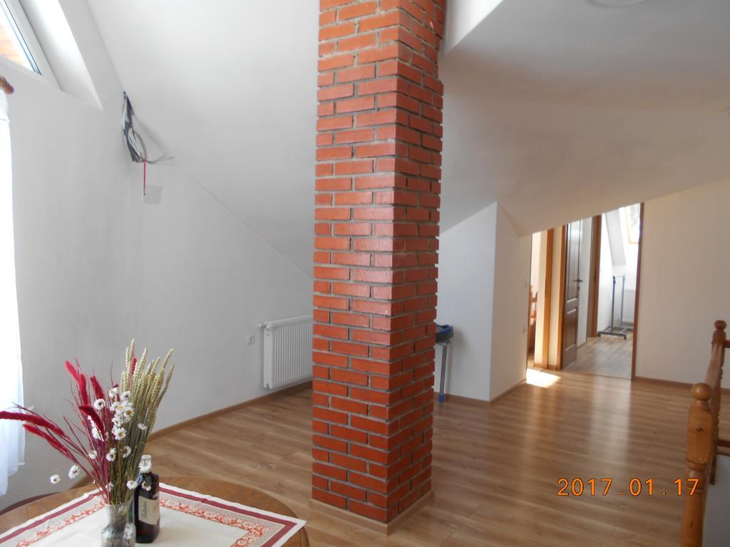 Olt-Part Vendeghaz Otel BaileTusnad Dış mekan fotoğraf