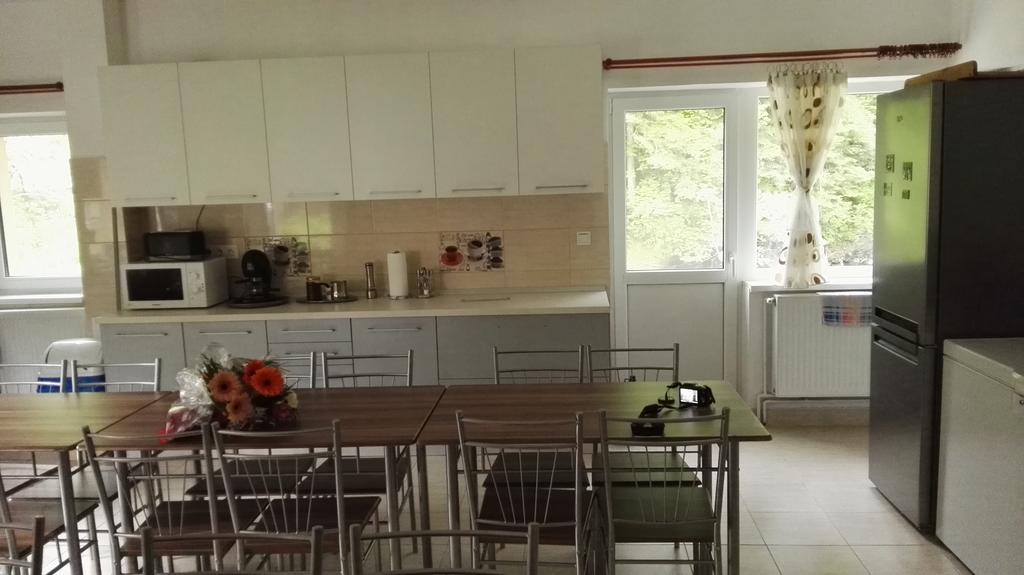 Olt-Part Vendeghaz Otel BaileTusnad Dış mekan fotoğraf