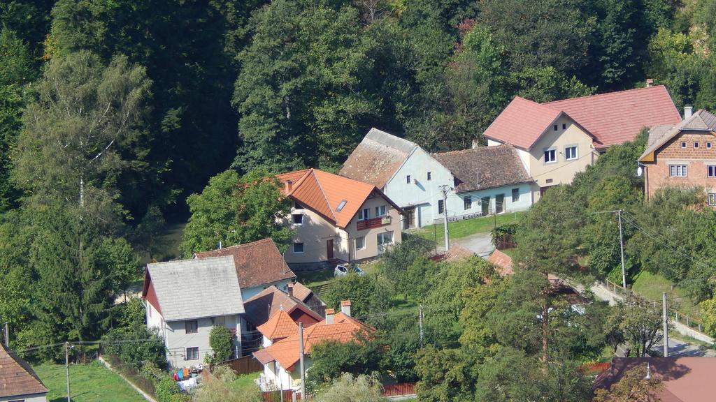 Olt-Part Vendeghaz Otel BaileTusnad Dış mekan fotoğraf