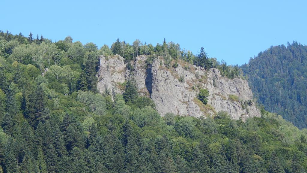 Olt-Part Vendeghaz Otel BaileTusnad Dış mekan fotoğraf