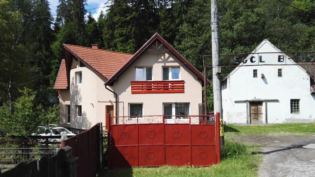 Olt-Part Vendeghaz Otel BaileTusnad Dış mekan fotoğraf